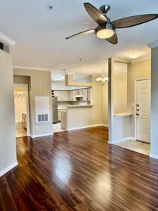 700 Daniel Ellis Drive Drive