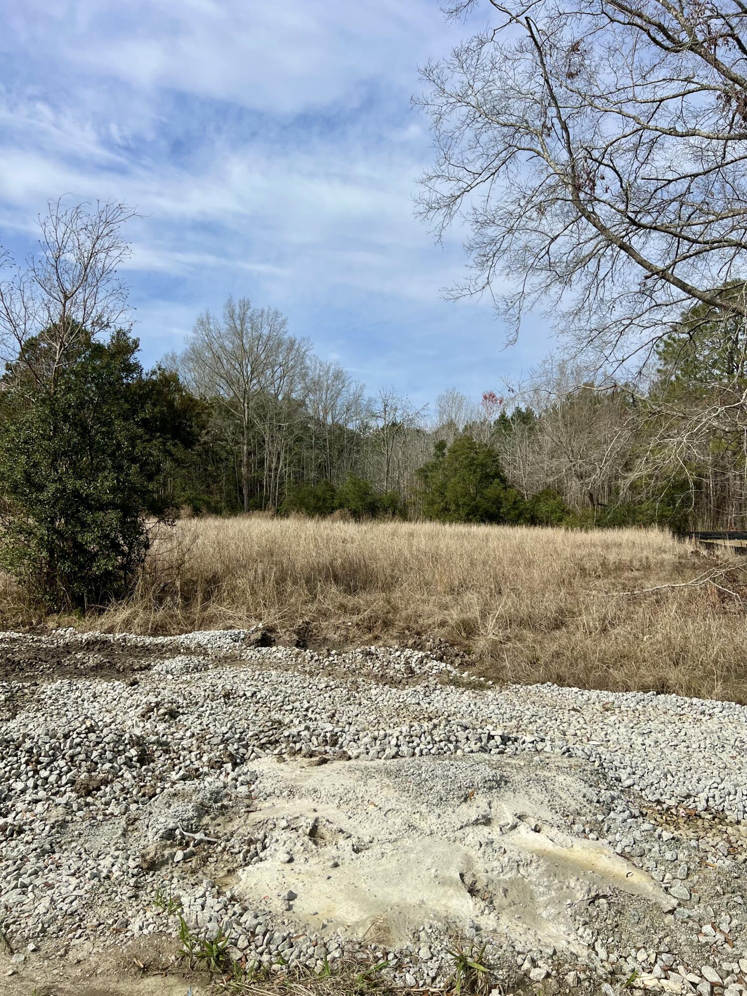 Image 3: Lot 41
