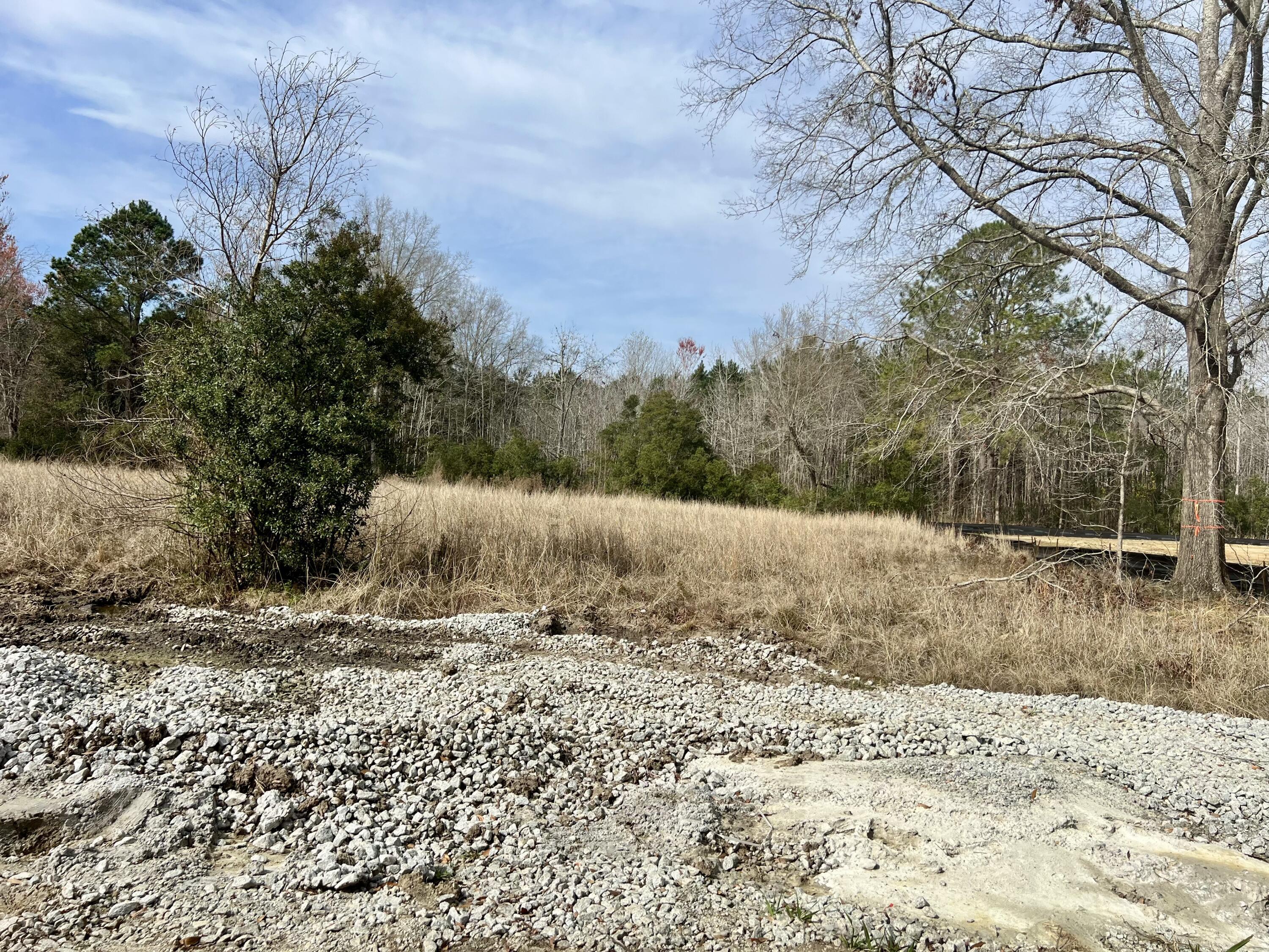 Image 4: Lot 41