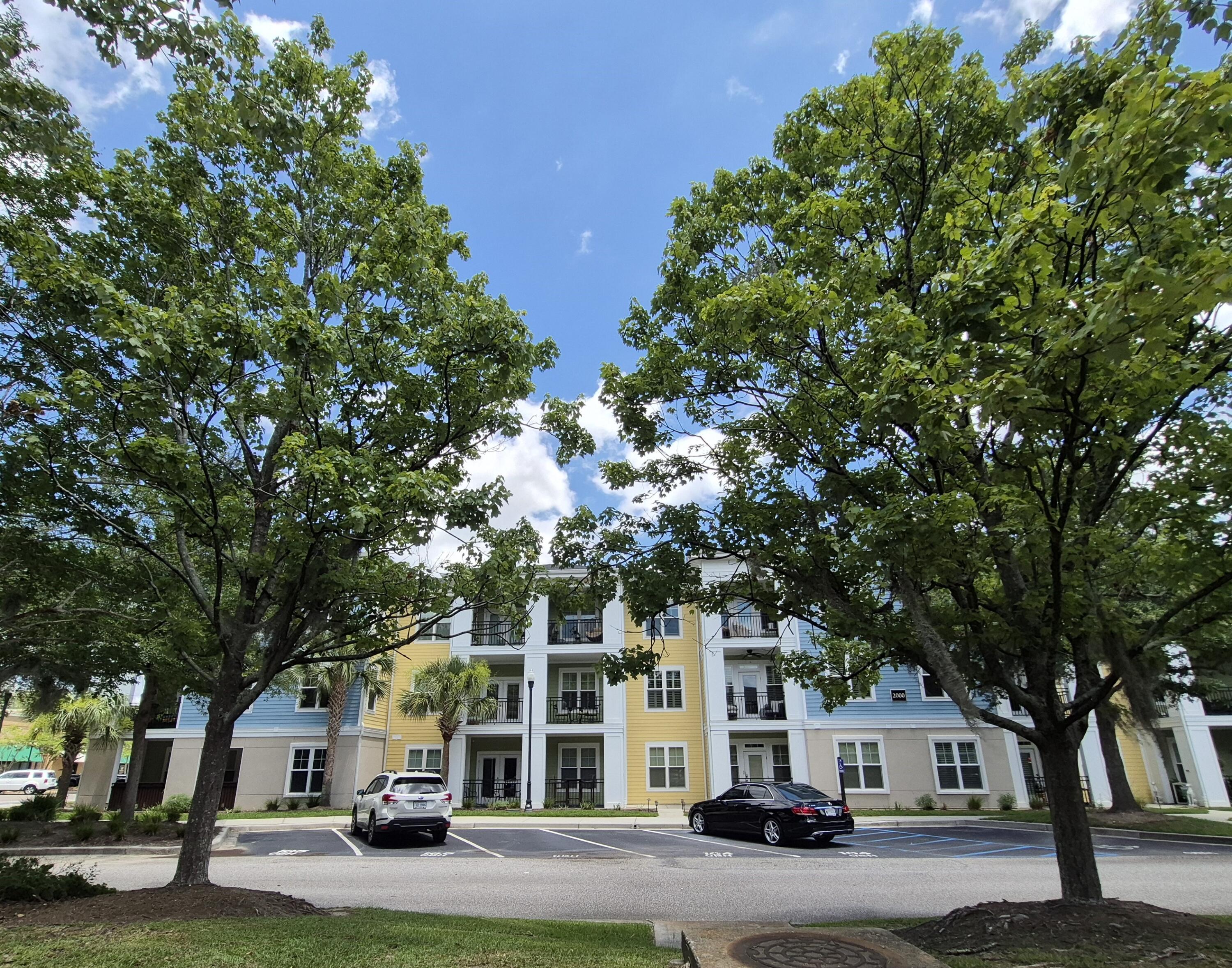 Image 1: front elevation trees view