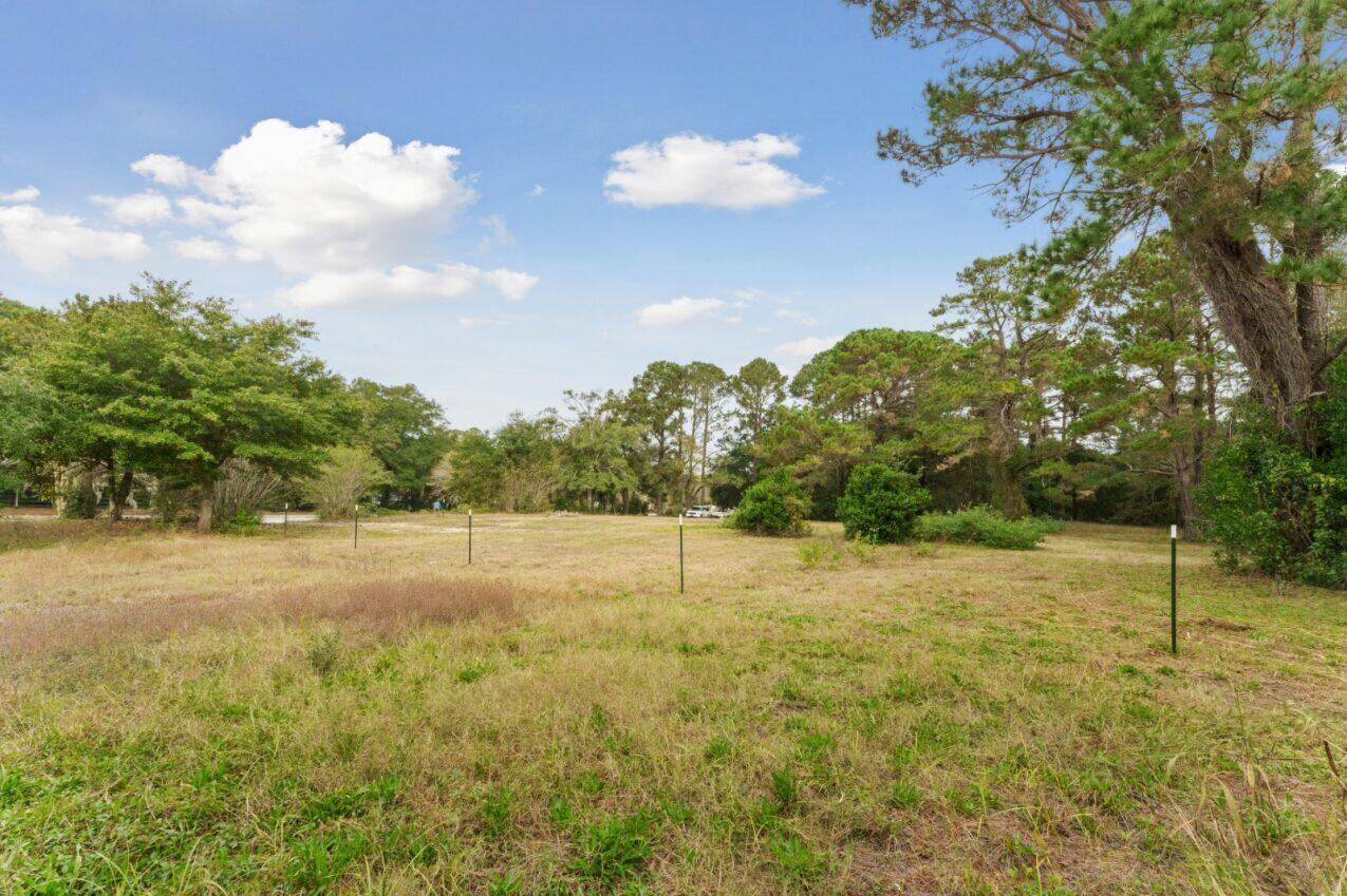 Image 3: 4455 Betsy Kerrison Pkwy, Johns Island