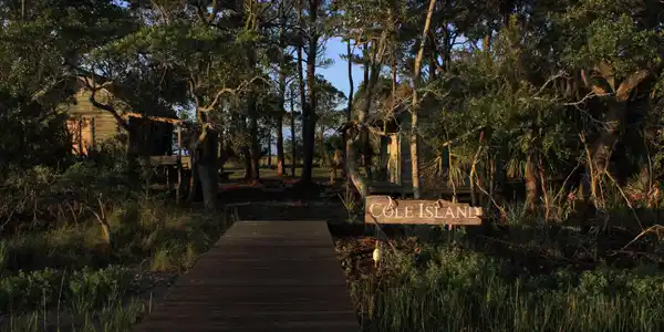 Image 4: MLS COLE 4