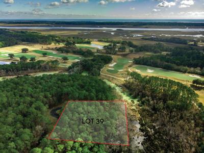 4117 Nesting Egret Drive, Johns Island SC 29455