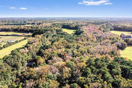 2418 Plow Ground Road