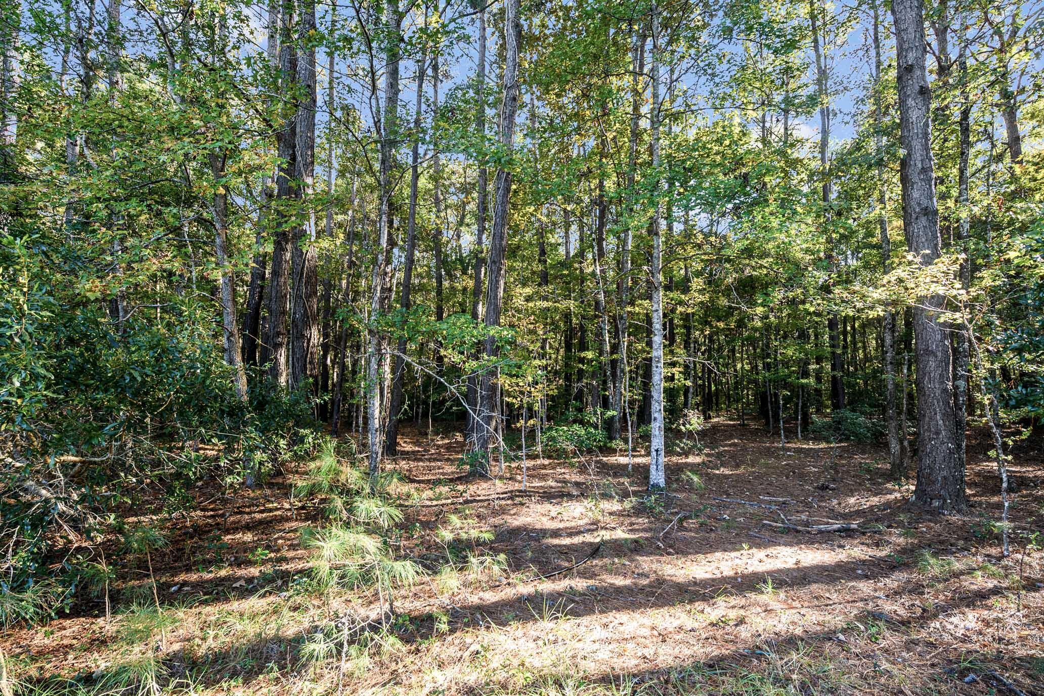 Image 4: HFL_PLOW GROUND RD_30 ACRES-6