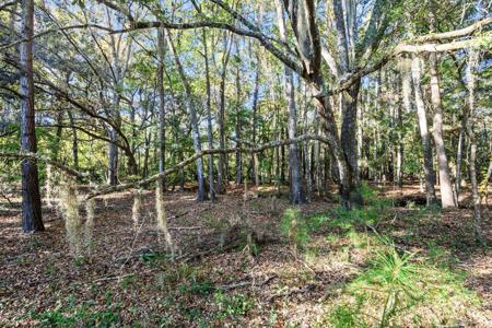 2515 Joseph Pearline Road