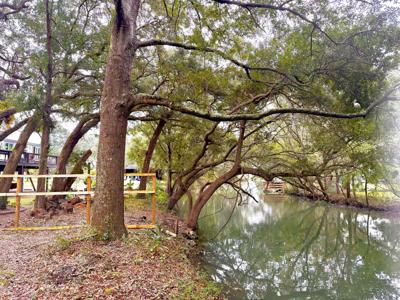 1578 Periwinkle Drive