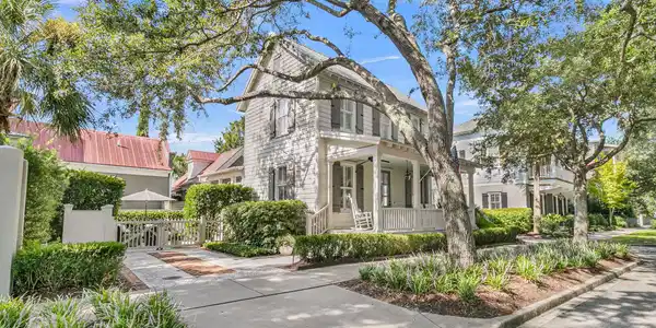 Image 2: Beautiful tree lined street