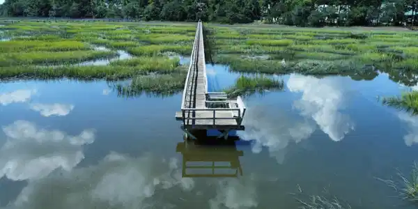 Image 4: dji_fly_20250924_130044_508_175873351236
