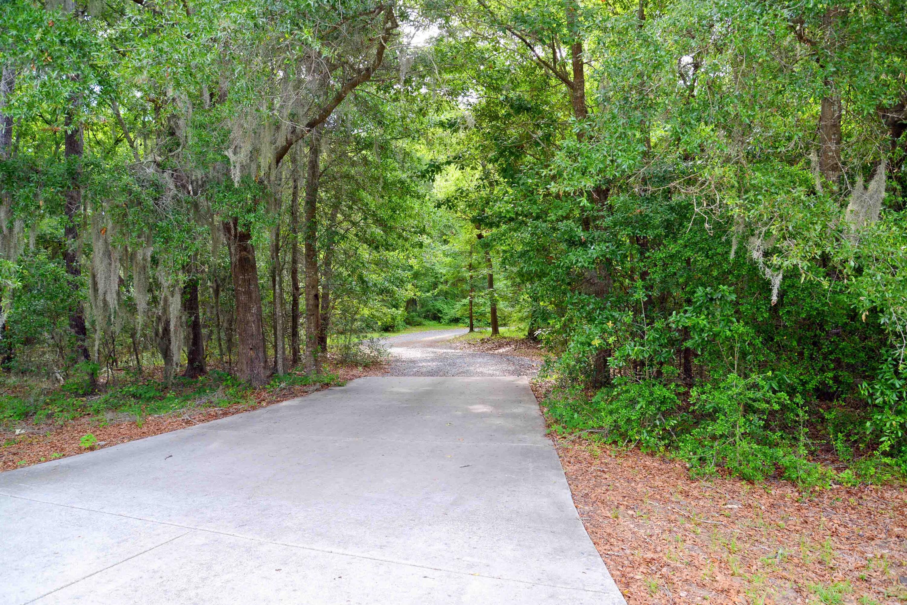 Image 4: 3993BK-private-acreage