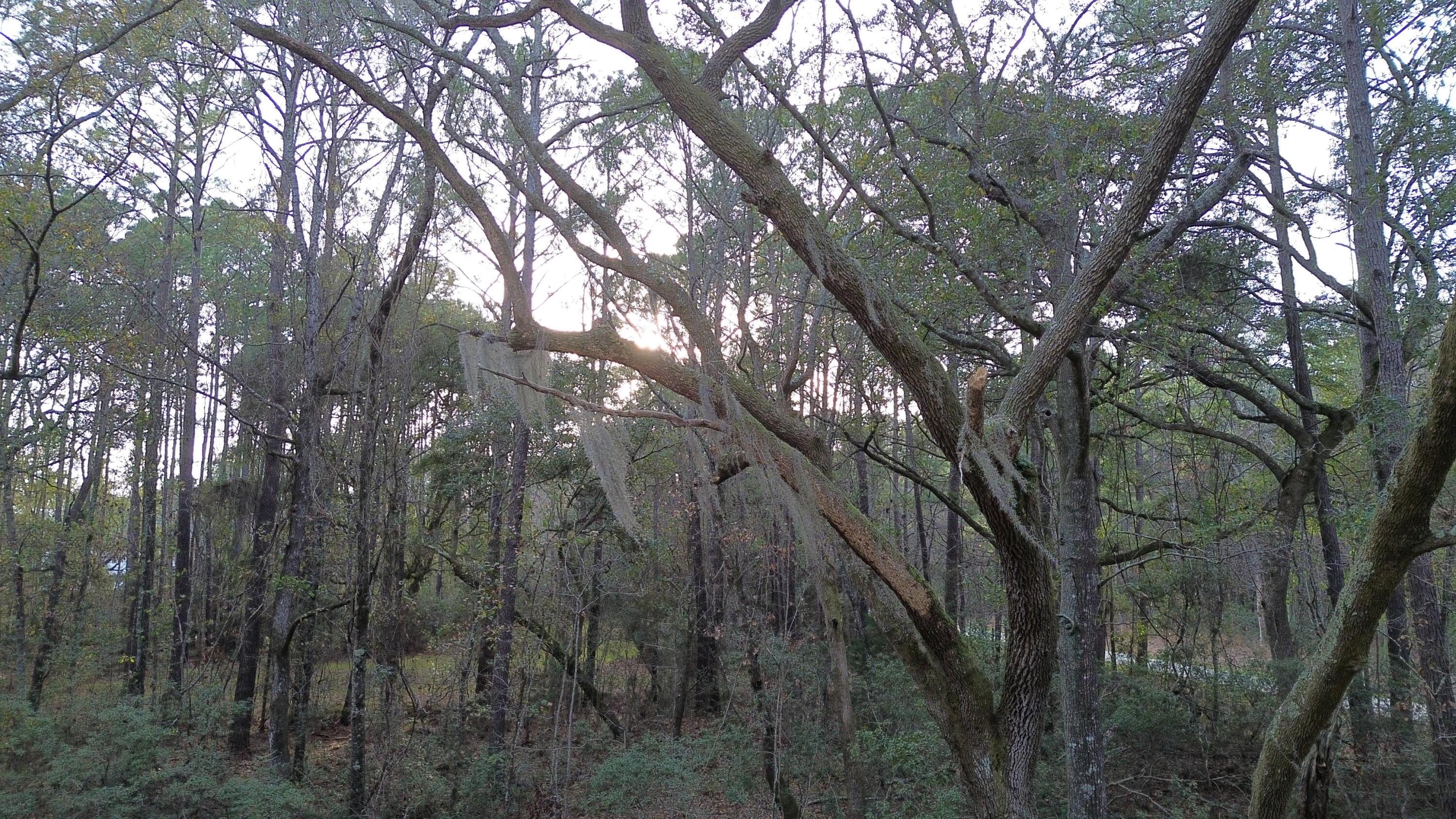 Image 2: DJI_0960