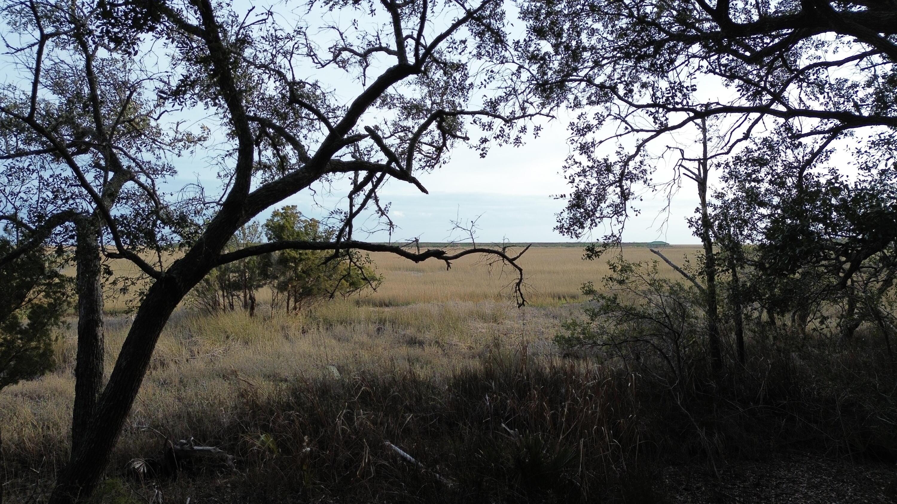 Image 3: DJI_0973