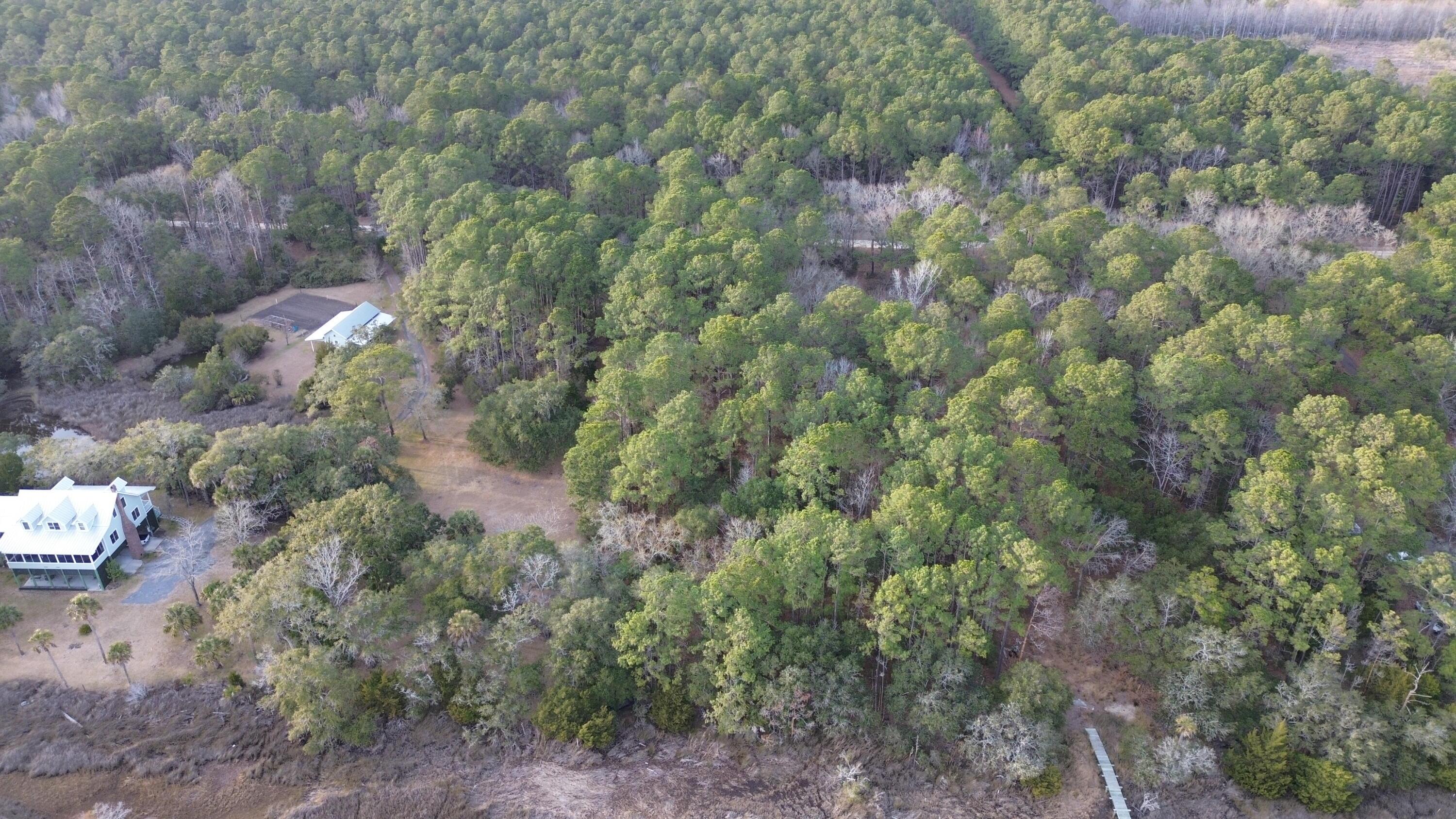 Image 4: DJI_0981