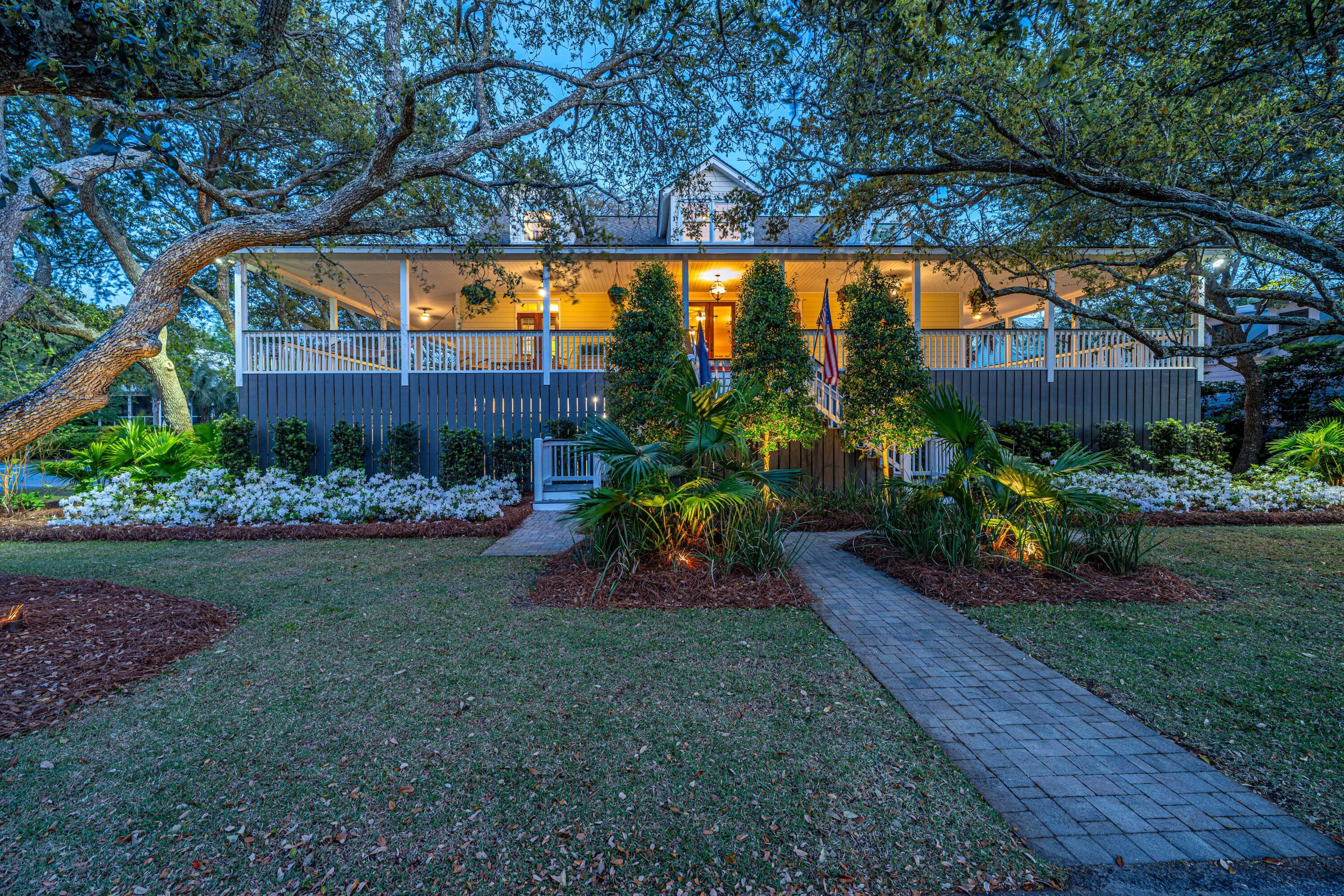 Image 2: GoldbugNIGHT002