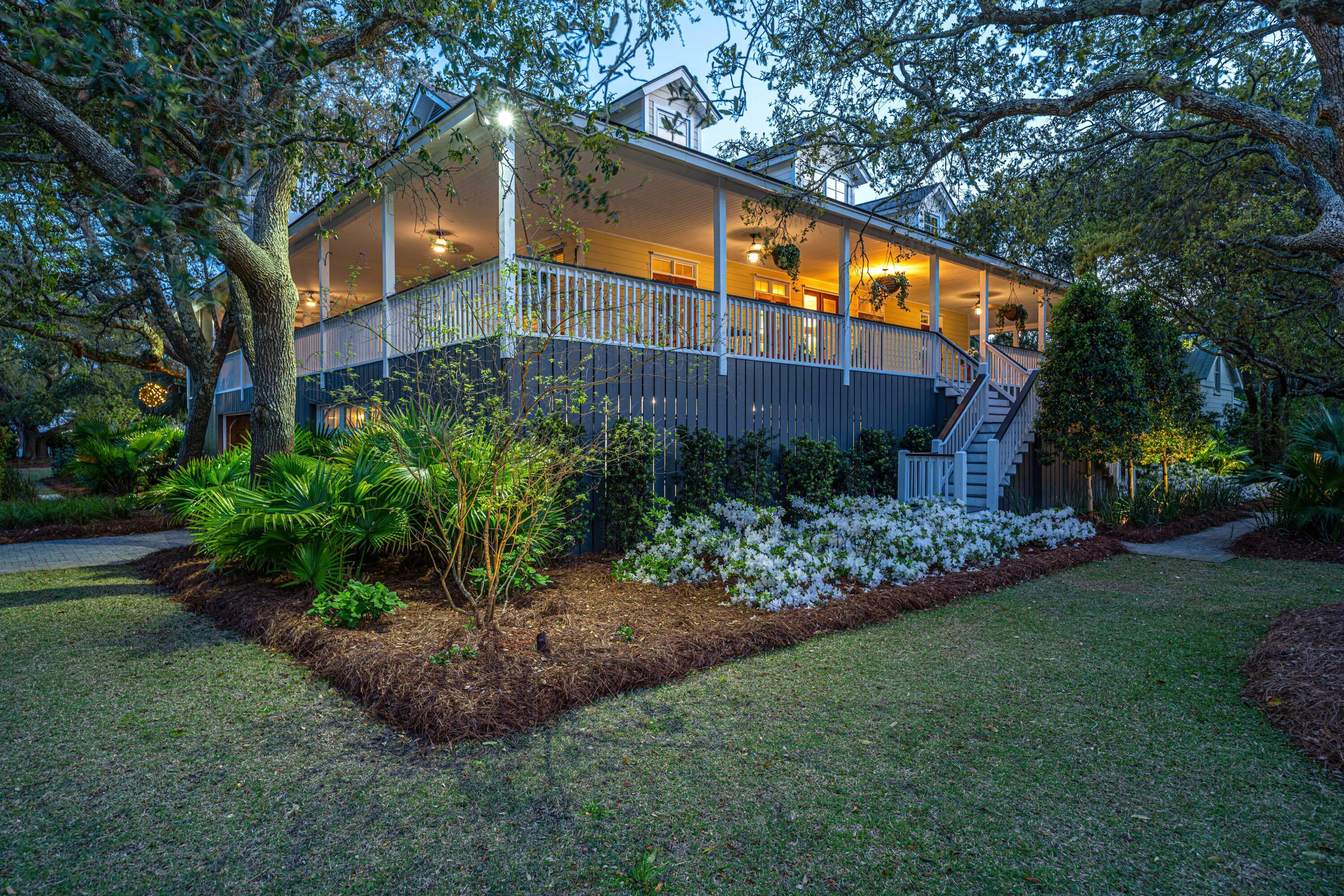 Image 4: GoldbugNIGHT001