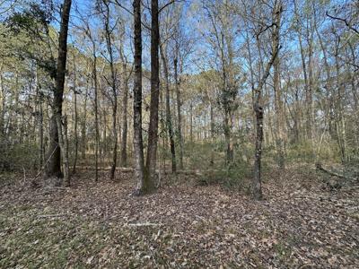 Lot 3 Cooke Road