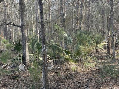 Lot 2 Cooke Road