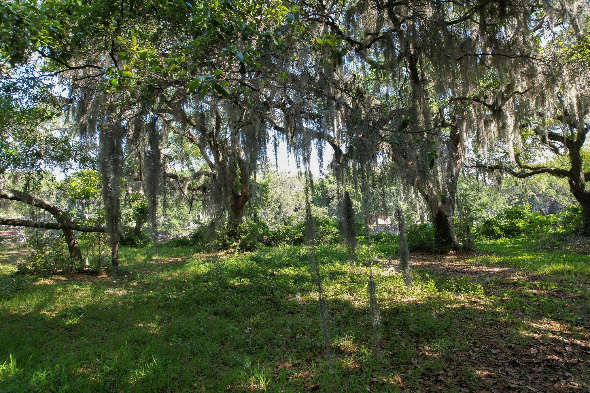 Image 4: Toolbox_Wappoo Lot_13