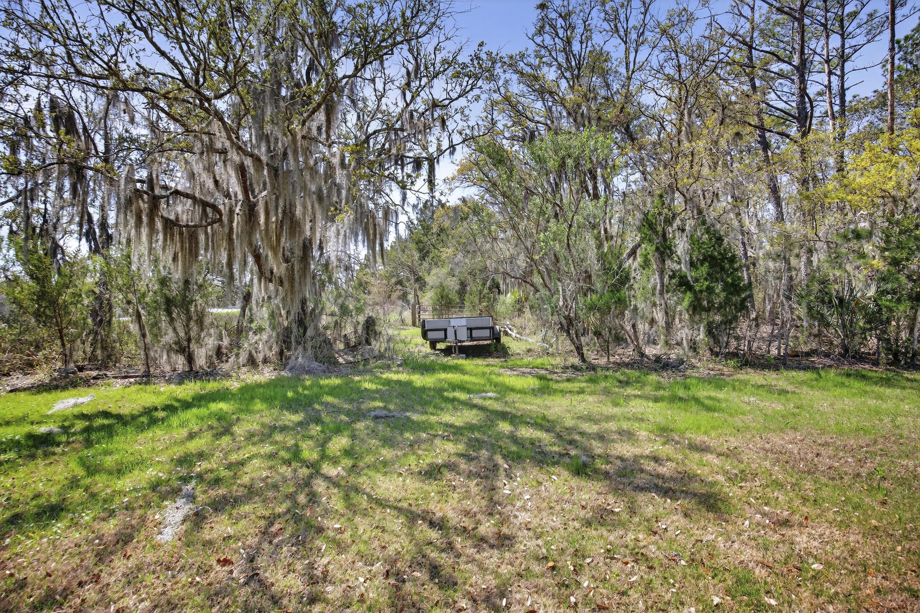 Image 3: lot