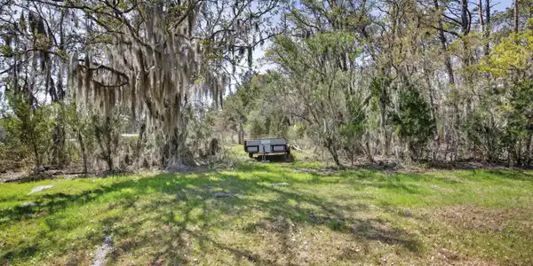 Image 3: lot