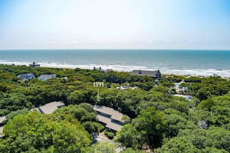 1391 Dunlin Court