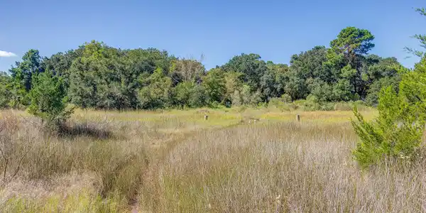 Image 2: HamlinBeachRd10