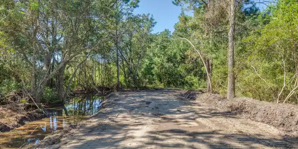 Image 4: HamlinBeachRd12