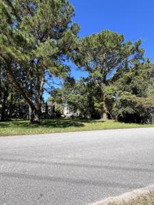 Pandora Drive