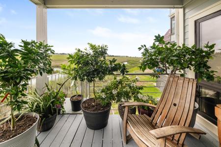 233 Little Oak Drive