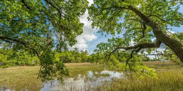 130 River Landing Drive