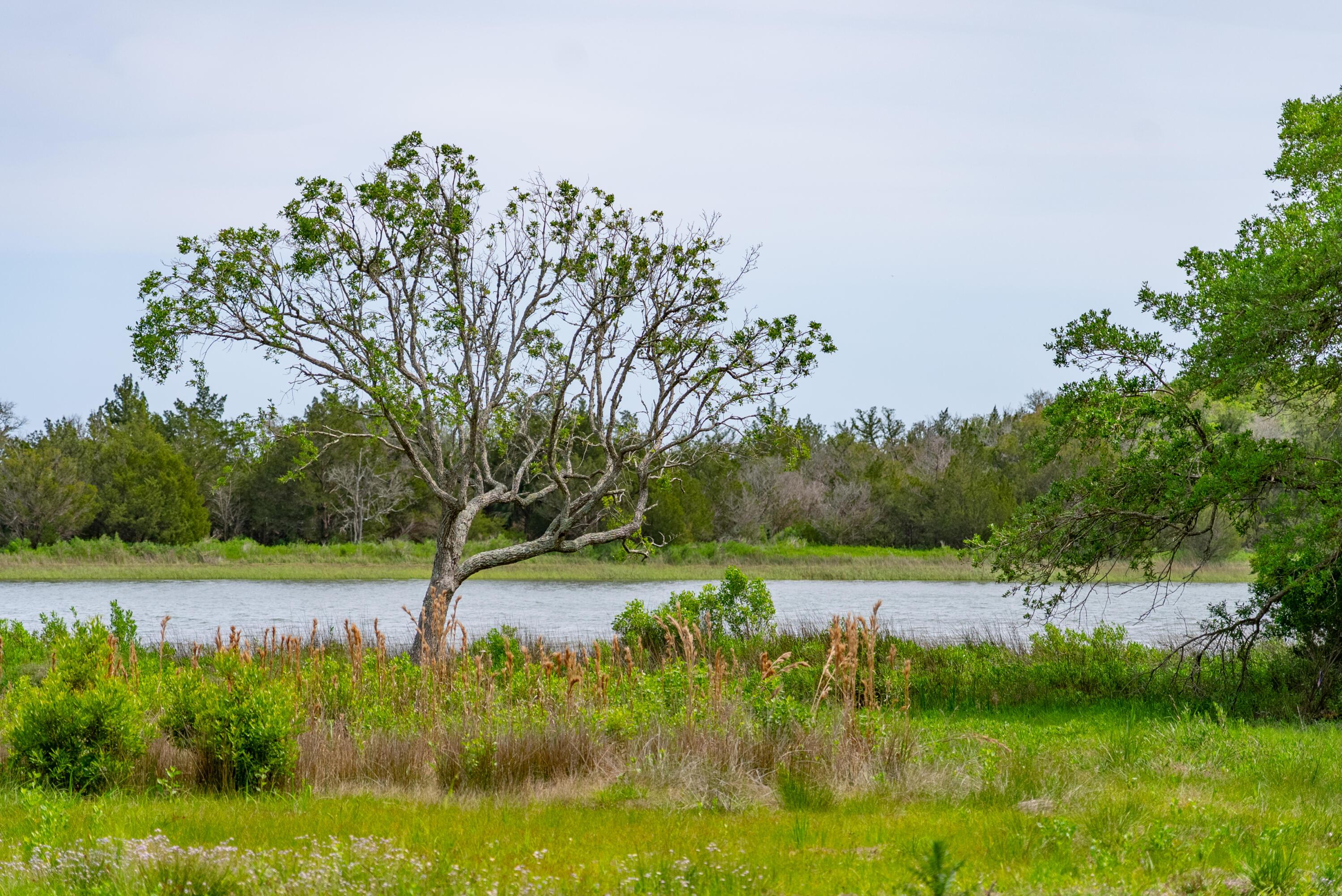 Image 4: 7857DoarRd-KeenEyeMarketing-013