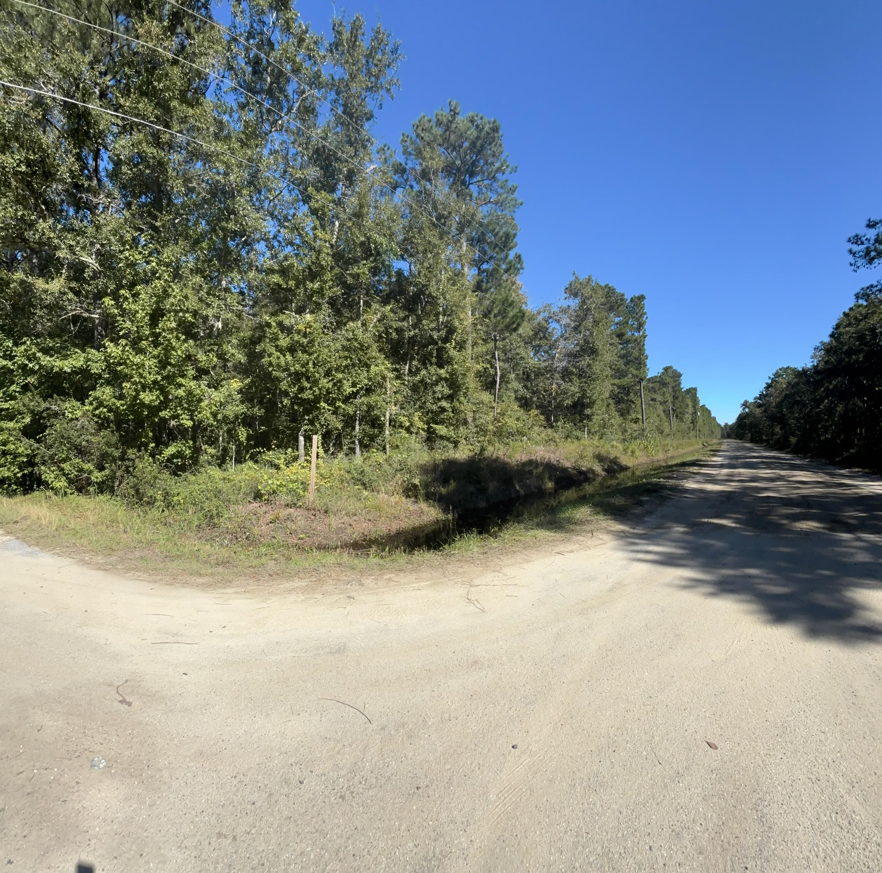 Image 2: IMG_3019