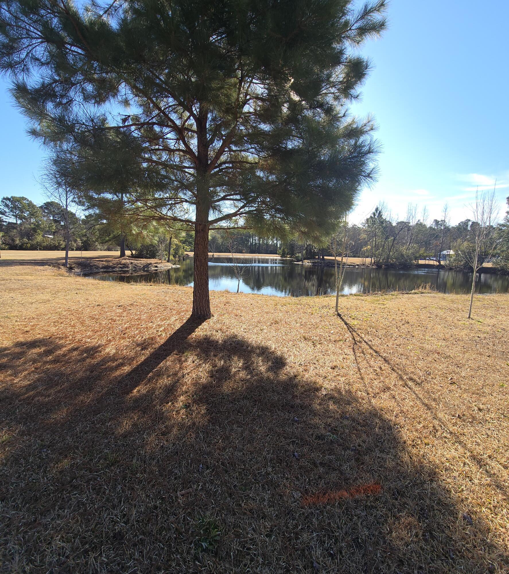 Image 3: pond across from front porch