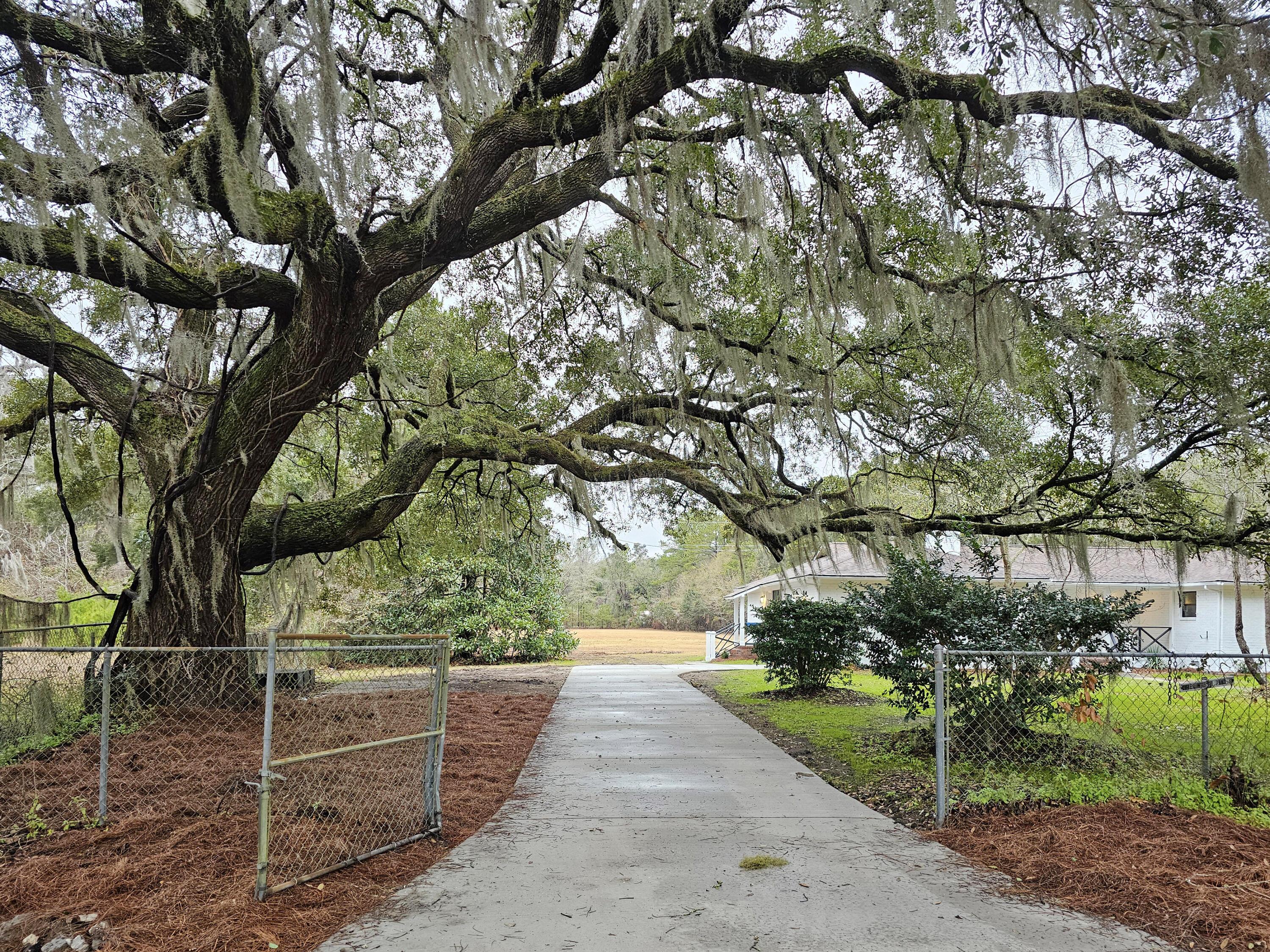 Image 1: 2-Oak-Tree-Entrance