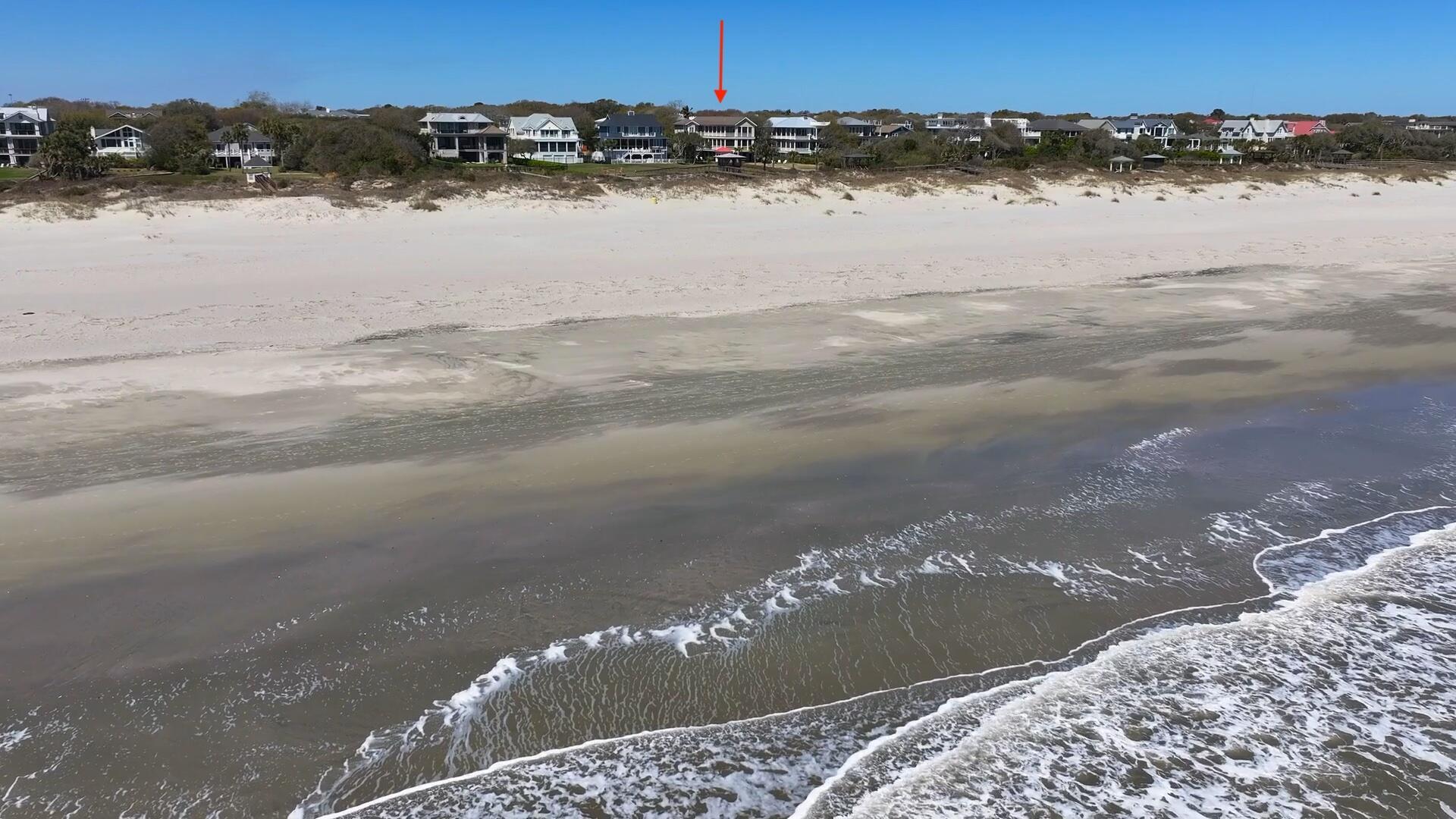 Image 4: 2906 Palm From Ocean