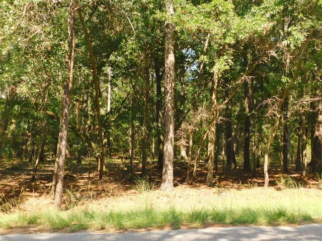 Image 2: DSCN2923 (640x480)