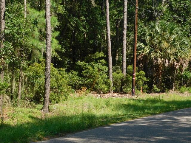 Image 3: DSCN2928 (640x480)