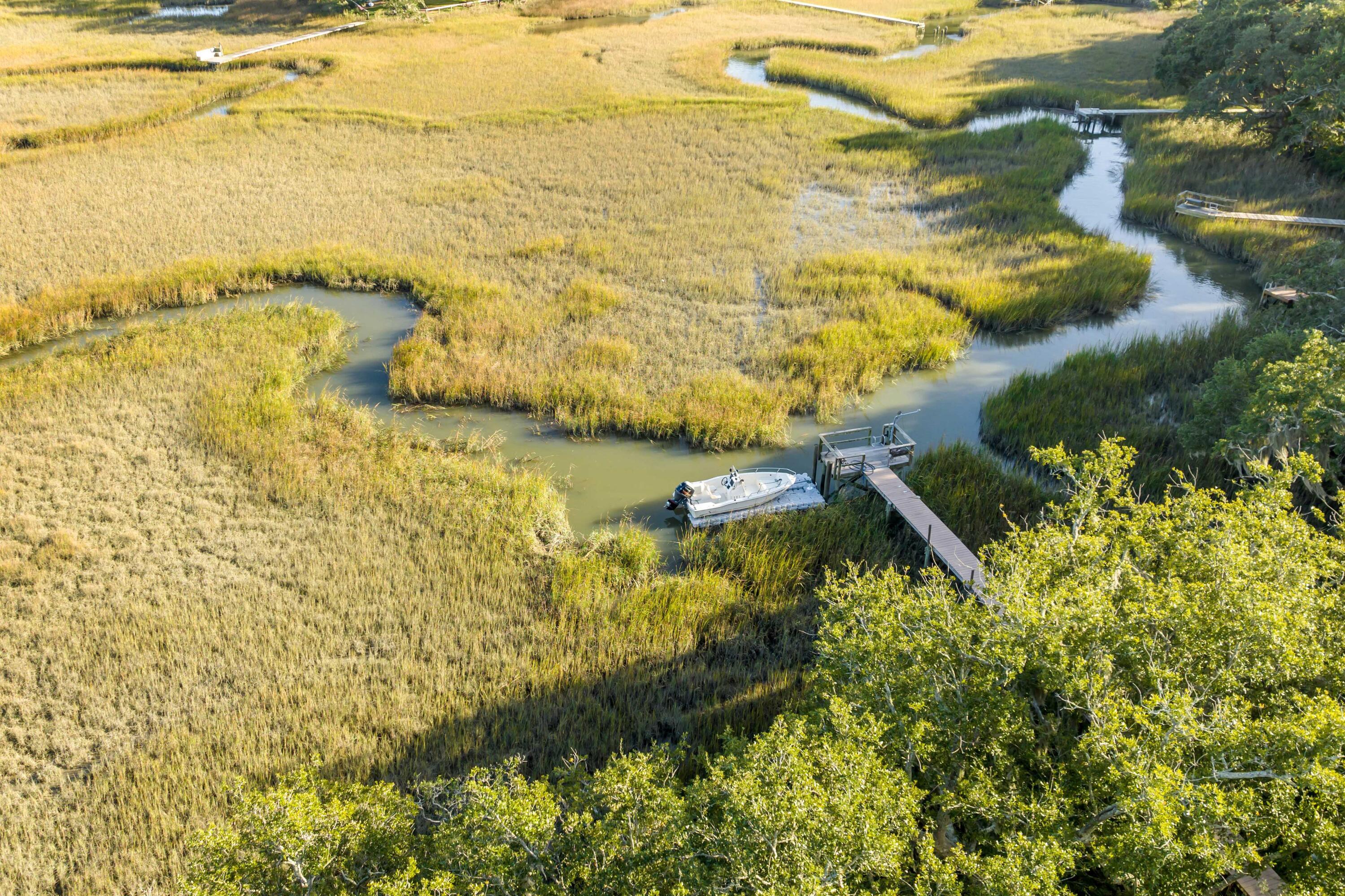 Image 4: DJI_0961