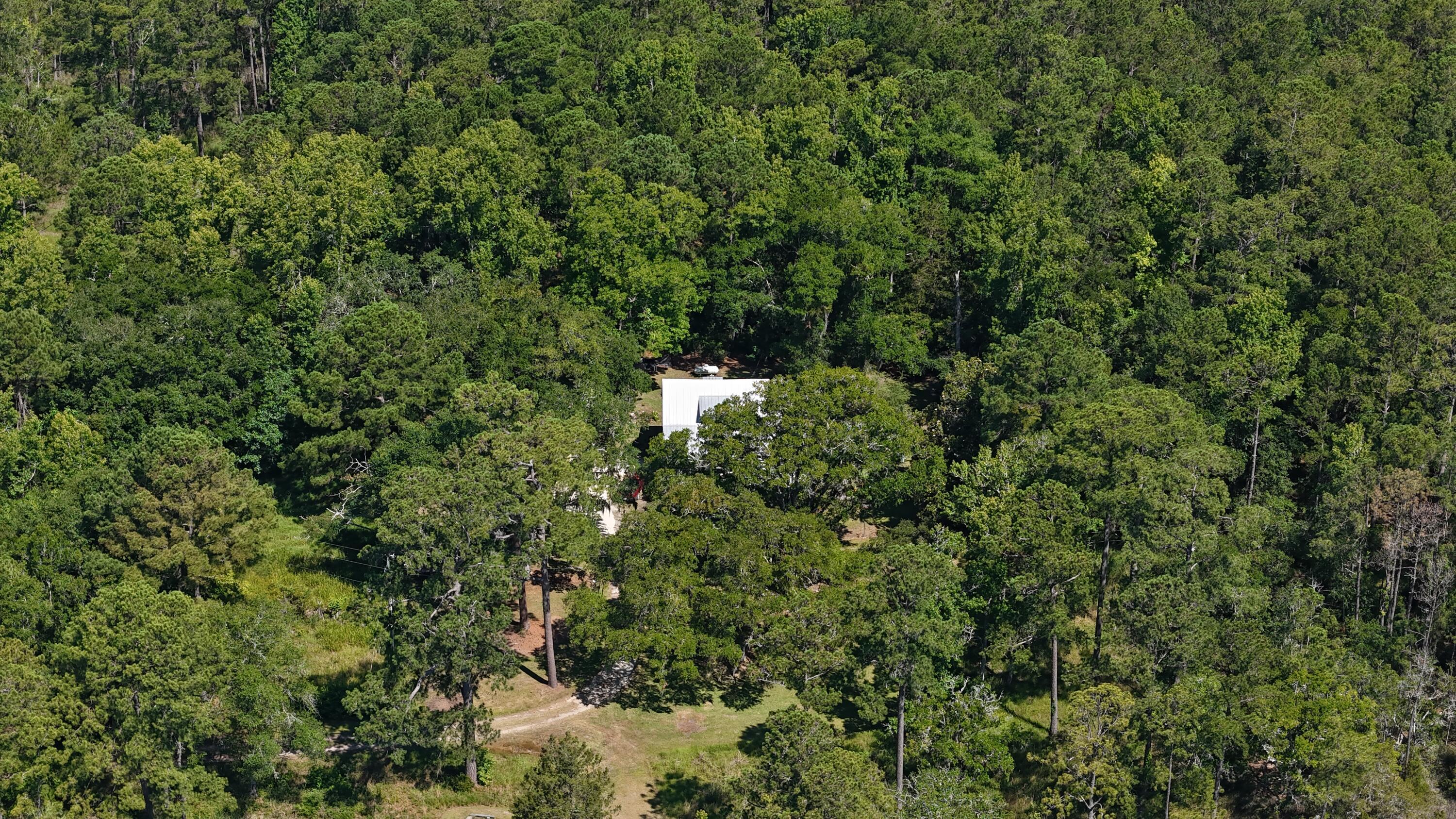 Image 2: pattys house