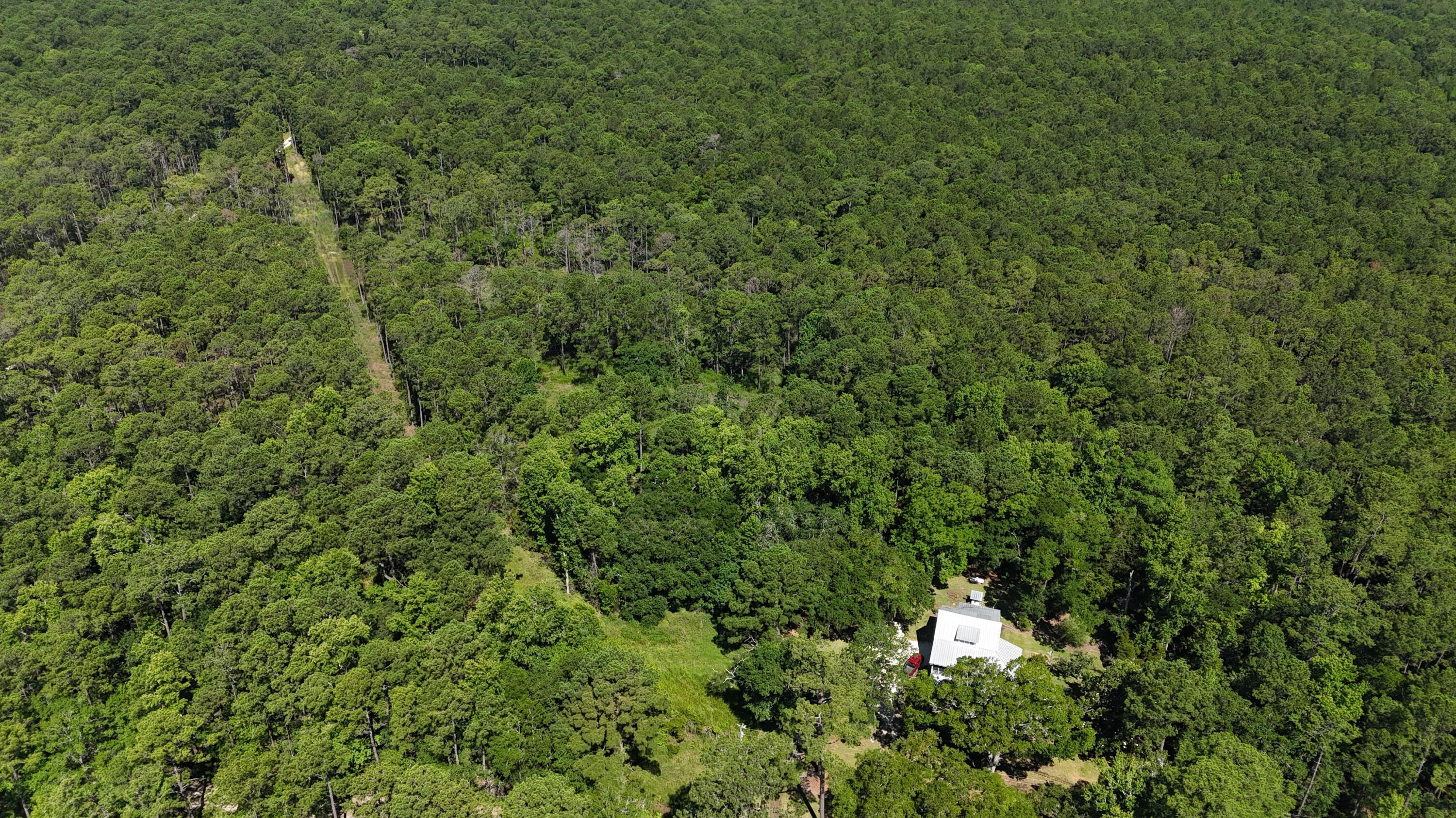 Image 4: pattys house 2