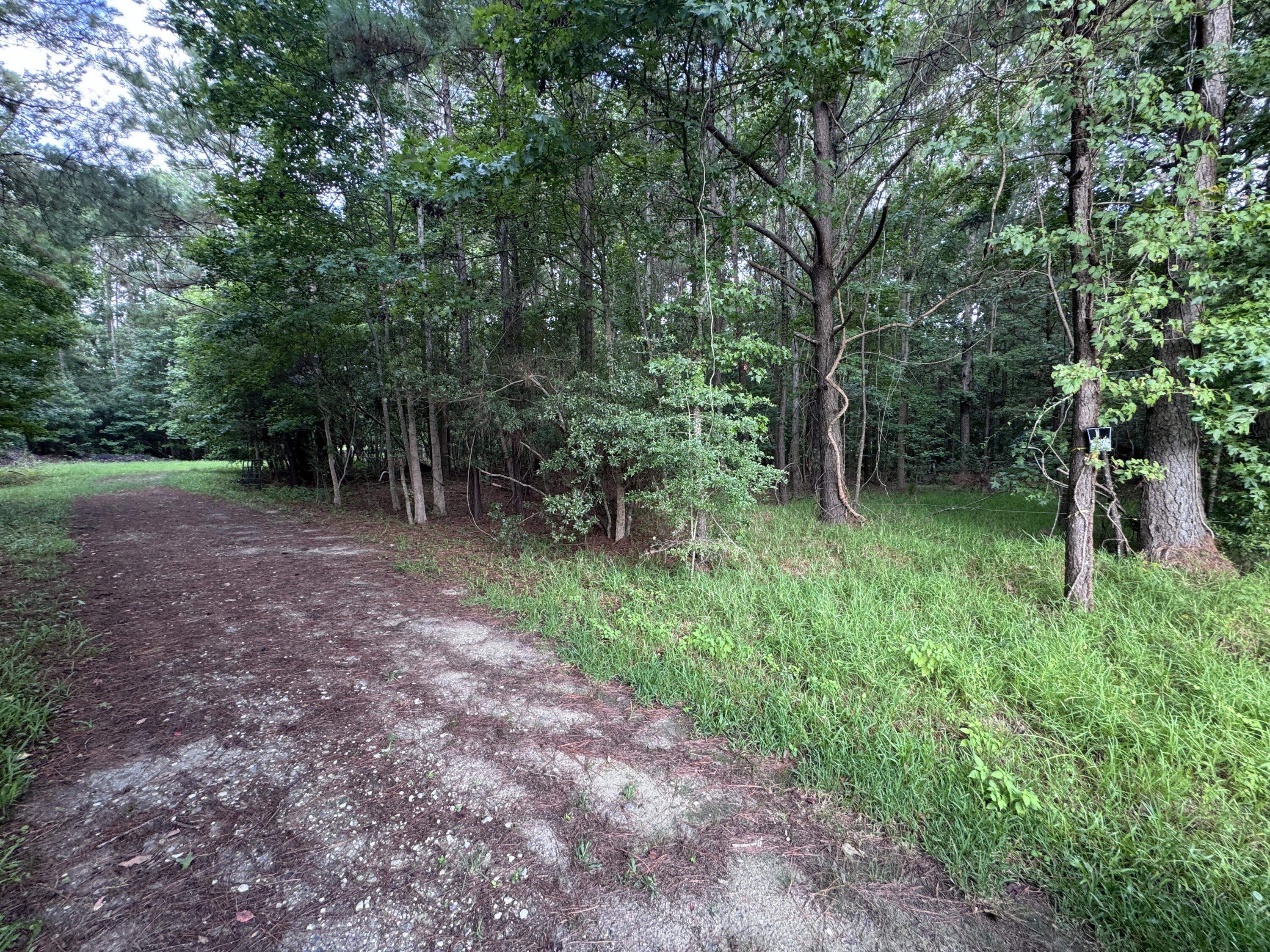 Image 2: 2