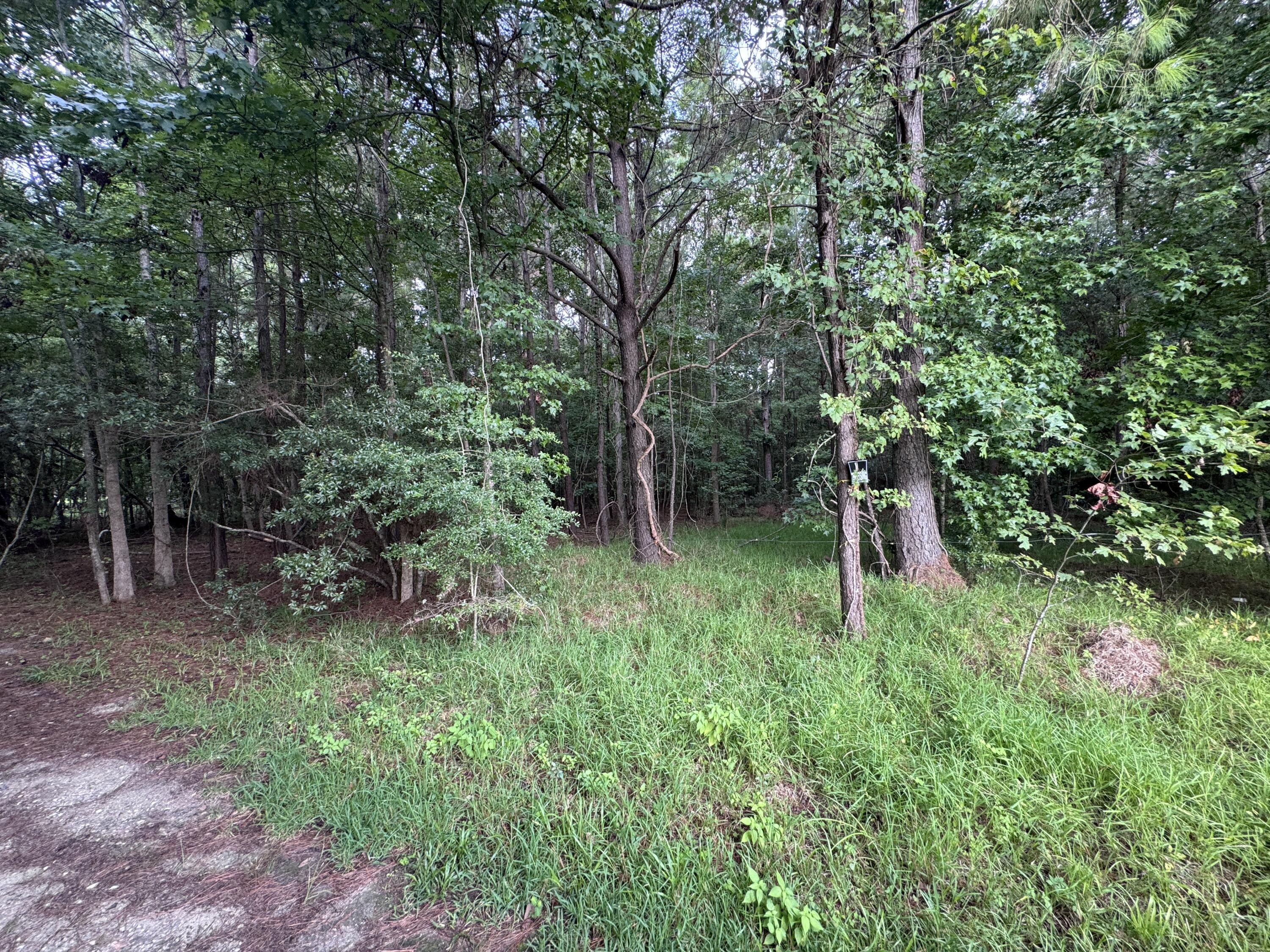 Image 3: 3