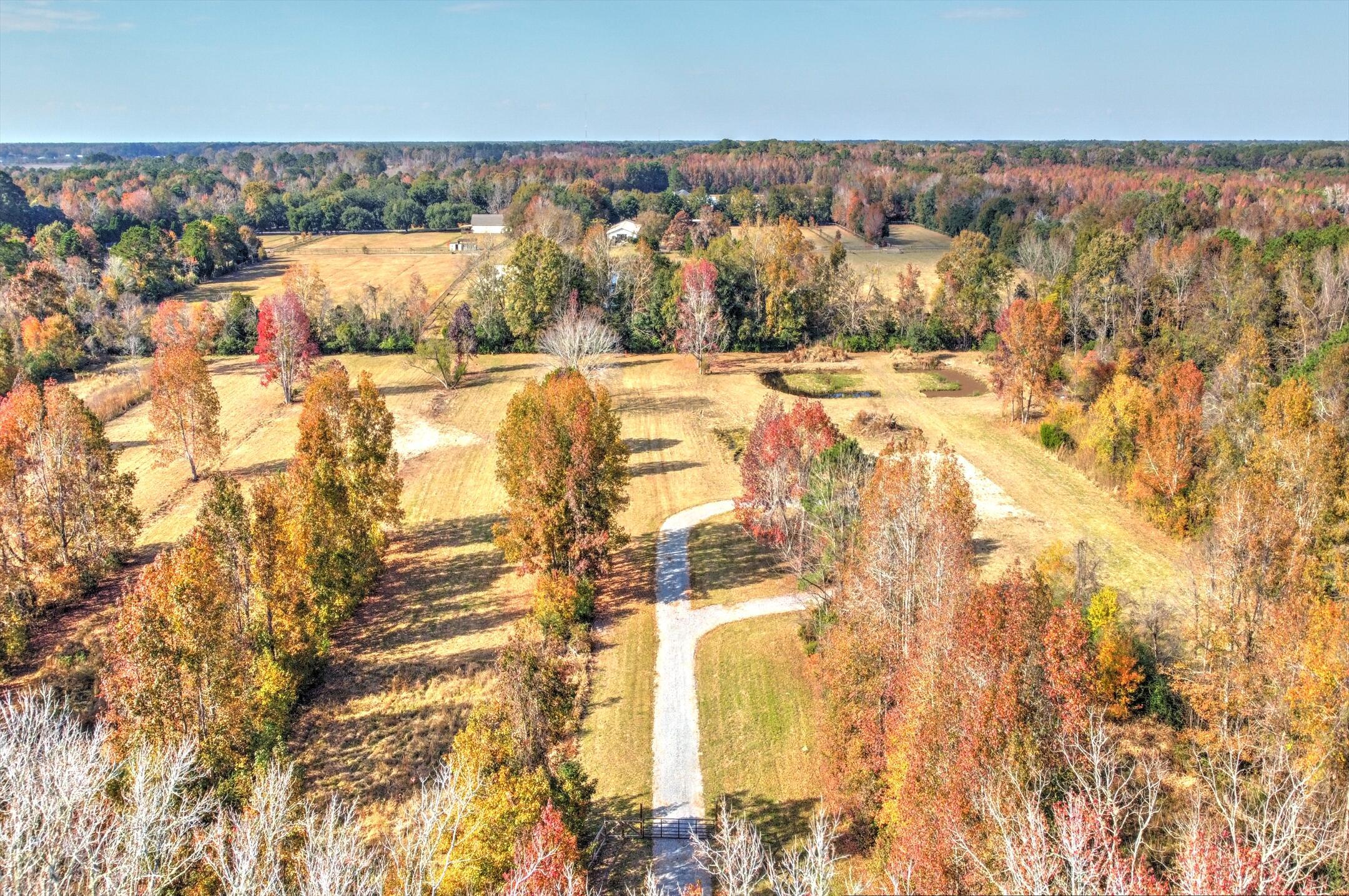 Image 2: Aerial Overhead