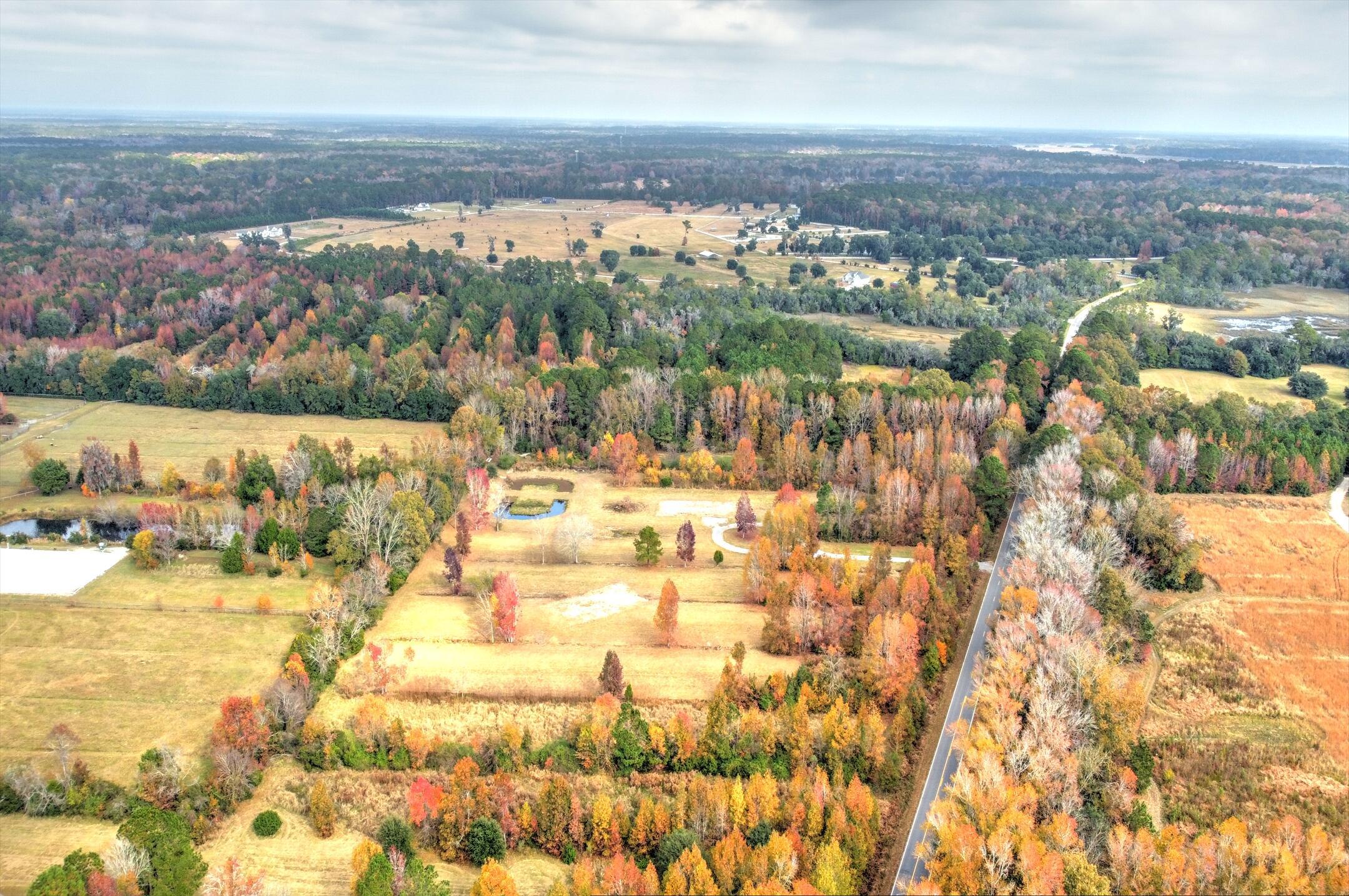 Image 4: Aerial Overhead