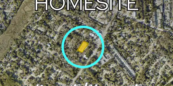 Image 4: First Picture