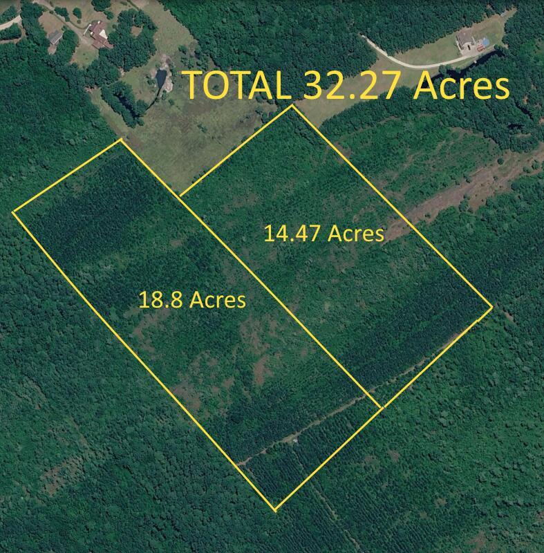 Image 1: 32 Acres of Unimproved Land