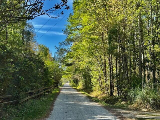 Image 3: White Road