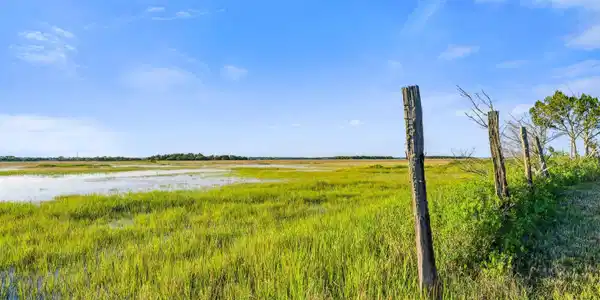 Image 2: SullivansIslandLot-KeenEyeMarketing-012