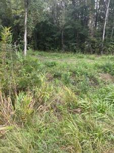 6572 N Hwy 17