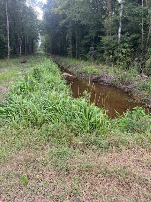 Image 2: 6572 N Hwy 17 Awendaw (2)